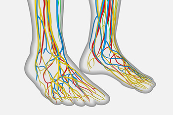 nerve related foot care in steele creek nc